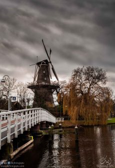 Leiden - Netherlands